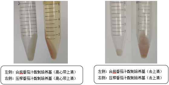 維生素檢測(cè)國標(biāo)法本底污染的原因分析